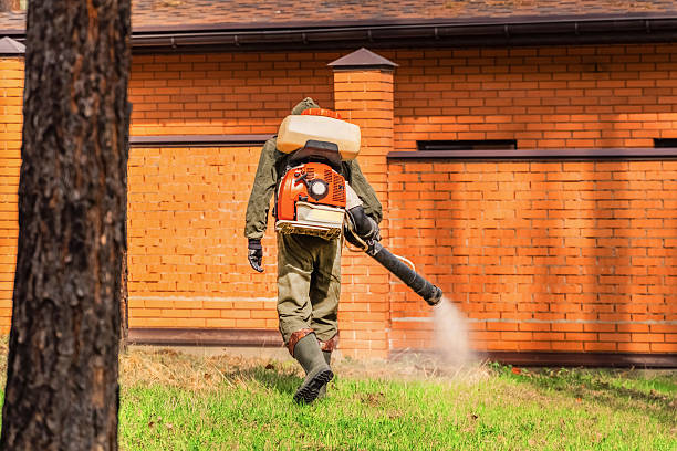 Trusted Mosquito Control service in Blandon, PA - Nex Pest Control
